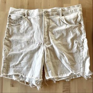 GAP Denim White Cutoff Shorts Sz 34